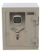 Platinum Urban 2D