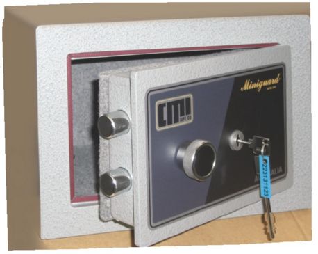 CMI Mini Guard 2C
